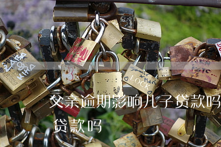 車在父親名下能貸款嗎(父親貸款逾期對我有什么影響)? (http://m.tony-an.com/) 知識問答 第2張