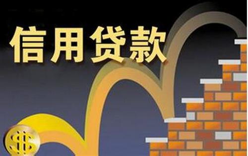 不看負債和征信的貸款(征信報告看負債)? (http://m.tony-an.com/) 知識問答 第2張
