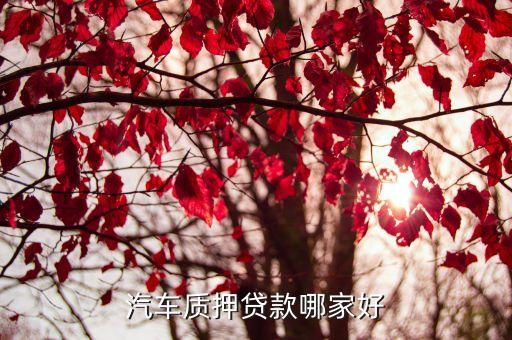 車子綠本抵押貸款平臺(車抵押綠本貸款有什么套路)? (http://m.tony-an.com/) 知識問答 第3張