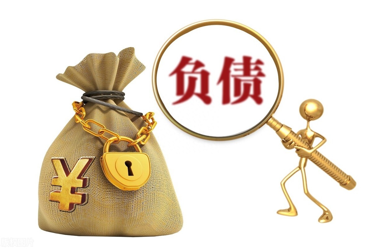 不看負債和征信的貸款(征信報告看負債)? (http://m.tony-an.com/) 知識問答 第3張