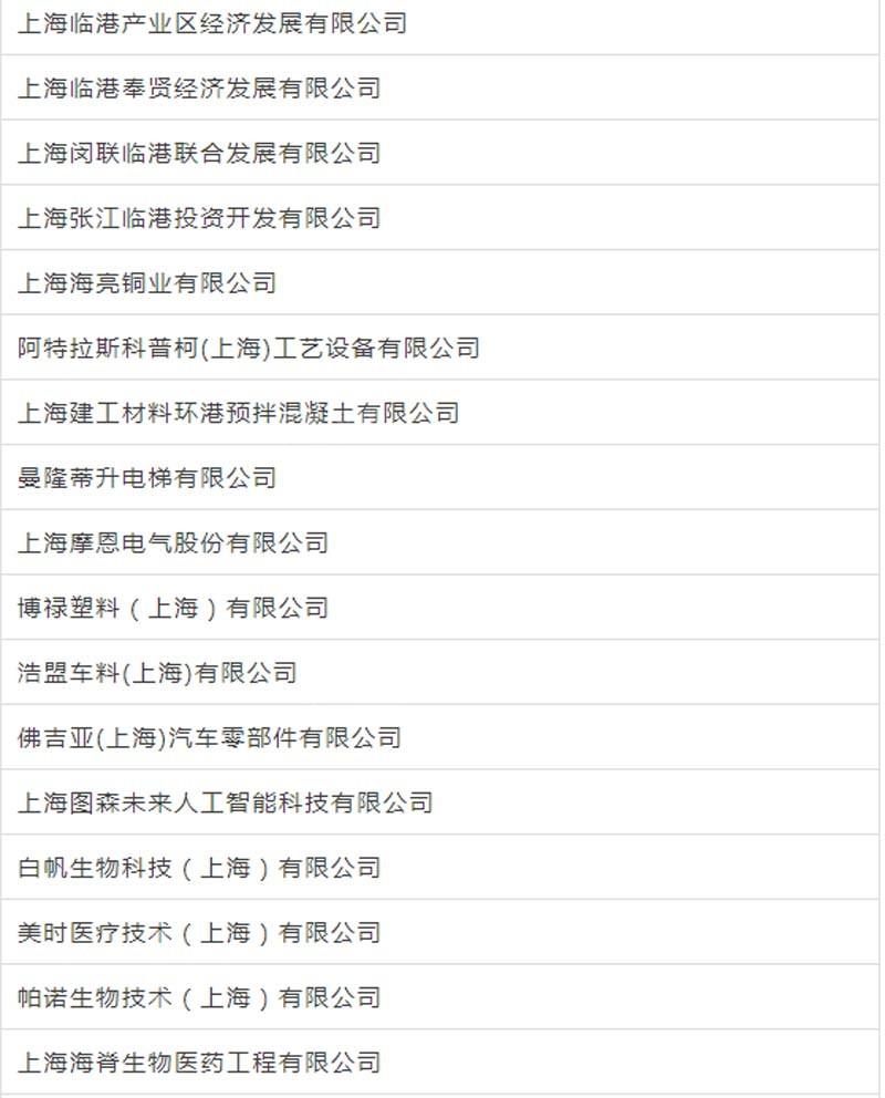 臨港新片區車輛抵押貸款(上海臨港新片區)? (http://m.tony-an.com/) 知識問答 第13張