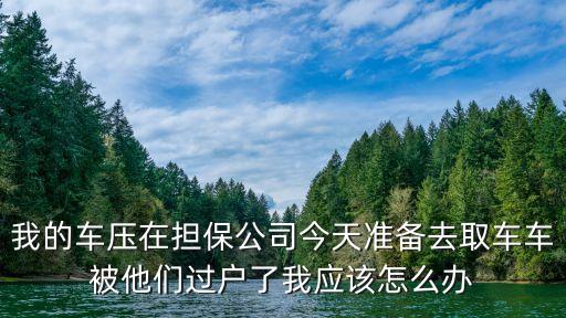 汽車過戶貸款靠譜嗎(希財網貸款靠譜嗎)? (http://m.tony-an.com/) 知識問答 第1張