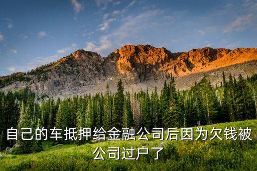 汽車過戶貸款靠譜嗎(希財網貸款靠譜嗎)? (http://m.tony-an.com/) 知識問答 第3張