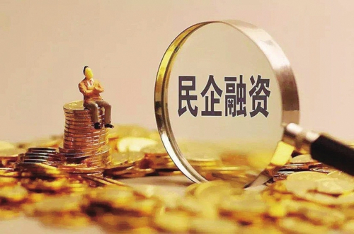 上海平安普惠小額貸款投資有限公司(上海平安普惠小額無抵押貸款)? (http://m.tony-an.com/) 知識問答 第11張