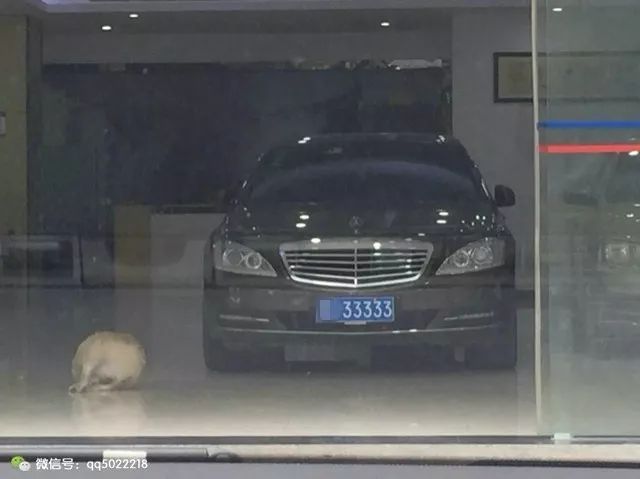 什么平臺(tái)可以抵押車(抵押車平臺(tái)可以注銷嗎)? (http://m.tony-an.com/) 知識(shí)問答 第1張