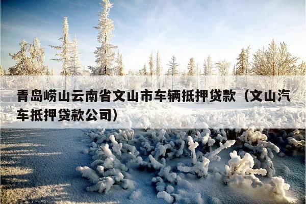 蘇州金山汽車抵押融資(涉土地違規抵押融資)? (http://m.tony-an.com/) 知識問答 第1張