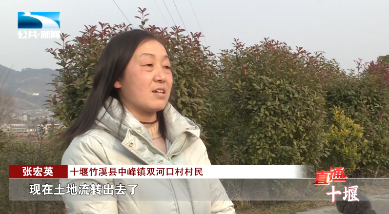 汽車抵押融資哪里好(車輛抵押融資)? (http://m.tony-an.com/) 知識問答 第11張