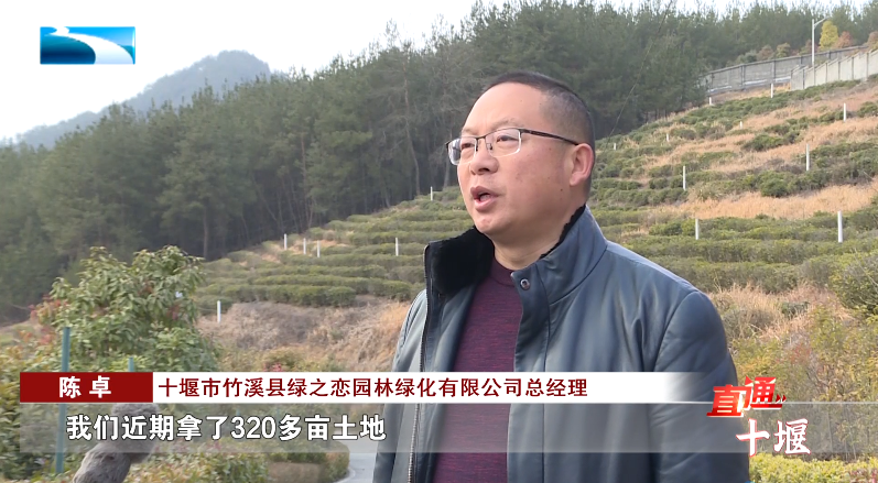 汽車抵押融資哪里好(車輛抵押融資)? (http://m.tony-an.com/) 知識問答 第14張