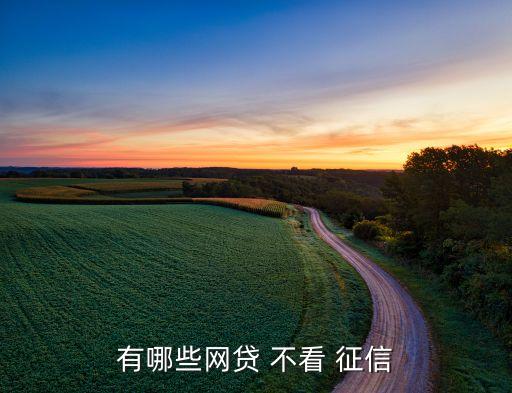 不看負(fù)債和征信的融資(融資征信)? (http://m.tony-an.com/) 知識問答 第2張