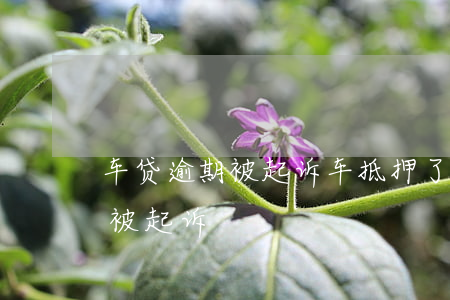 車子抵押貸款怎么貸(抵押貸款汽車)? (http://m.tony-an.com/) 知識問答 第2張
