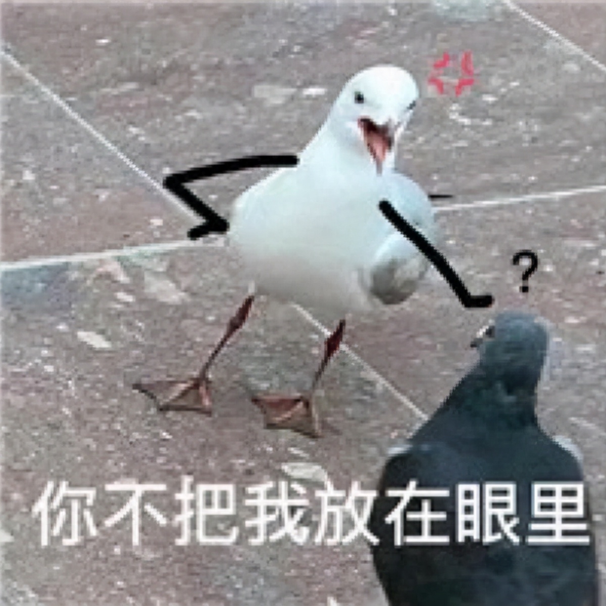 不押車不看征信貸款(押車貸款看征信嗎)? (http://m.tony-an.com/) 知識問答 第1張