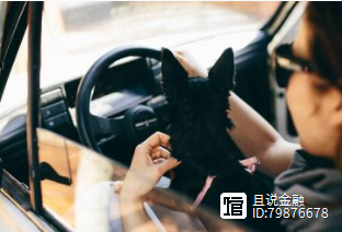 車子抵押借錢(抵押車子借錢合同)? (http://m.tony-an.com/) 知識問答 第5張