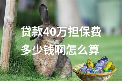 貸款擔保公司一般怎么收費(擔保收費貸款一般公司有哪些)? (http://m.tony-an.com/) 知識問答 第1張