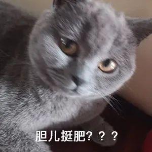 閔行區那里有車子抵押貸款的(上海汽車抵押貸)? (http://m.tony-an.com/) 知識問答 第1張