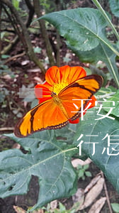 平安車主貸款怎么貸需要什么條件(平安車主貸要去銀行弄嗎)? (http://m.tony-an.com/) 知識問答 第2張