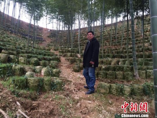 金山區抵押車貸(抵押山區貸車金怎么處理)? (http://m.tony-an.com/) 知識問答 第1張