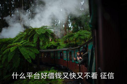 不查征信的網貸(網貸征信查多了多久能恢復)? (http://m.tony-an.com/) 知識問答 第1張