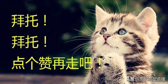 車抵押貸款不押車(車抵押貸款)? (http://m.tony-an.com/) 知識問答 第2張
