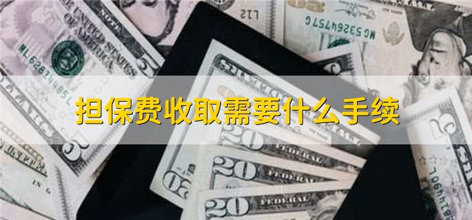 貸款擔保公司一般怎么收費(擔保公司貸款服務費收取標準)? (http://m.tony-an.com/) 知識問答 第2張