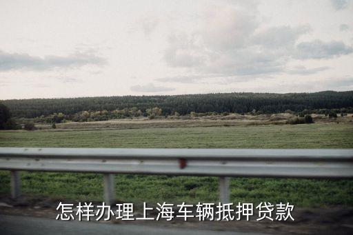 上海車輛貸款不押車(上海車抵押貸款不押車)? (http://m.tony-an.com/) 知識問答 第3張