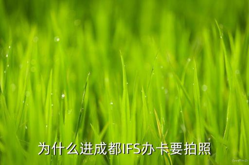 行駛證不是我的名字可以貸款嗎(車貸行駛證名字不是自己的)? (http://m.tony-an.com/) 知識問答 第2張