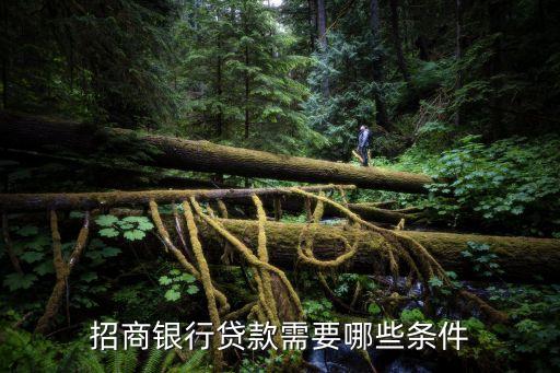 行駛證貸款(機動車行駛證貸款)? (http://m.tony-an.com/) 知識問答 第2張