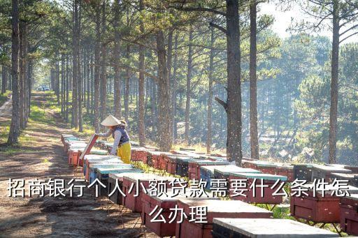 行駛證貸款(機動車行駛證貸款)? (http://m.tony-an.com/) 知識問答 第3張