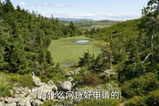 正規網絡貸款平臺哪個靠譜好申請(貸款正規的平臺)? (http://m.tony-an.com/) 知識問答 第2張