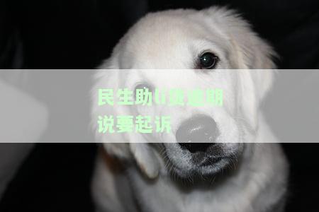 助貸公司貸款沒批下來(助貸批貸款下來沒公司怎么辦)? (http://m.tony-an.com/) 知識問答 第1張
