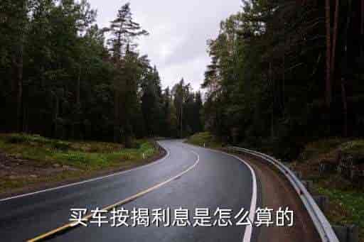 車貸利率(車貸了利率)? (http://m.tony-an.com/) 知識問答 第2張