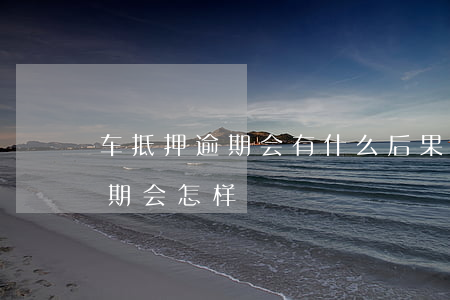 車抵押貸款不還的后果(抵押車貸款還能賣車嗎)? (http://m.tony-an.com/) 知識問答 第2張
