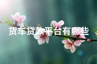 車子不抵押貸款(抵押車子貸款有什么風險)? (http://m.tony-an.com/) 知識問答 第1張
