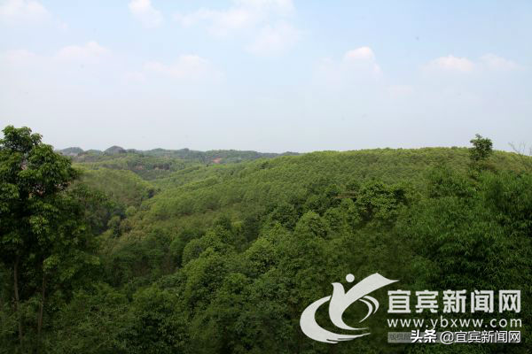 宜賓汽車抵押貸款(宜賓抵押車價格)? (http://m.tony-an.com/) 知識問答 第3張
