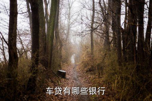 上海車輛貸款公司(上海汽車貸款公司業(yè)務(wù))? (http://m.tony-an.com/) 知識問答 第2張