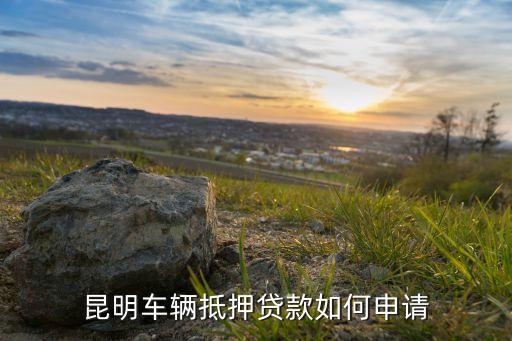 上海車子抵押貸款哪里可以做(上海的抵押車能買嗎)? (http://m.tony-an.com/) 知識(shí)問答 第3張