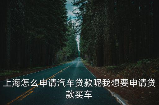 上海車牌貸款怎樣申請(上海車牌貸款申請了能取消嗎)? (http://m.tony-an.com/) 知識問答 第1張