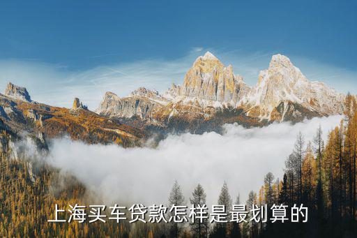 上海車牌貸款怎樣申請(上海車牌貸款申請了能取消嗎)? (http://m.tony-an.com/) 知識問答 第2張