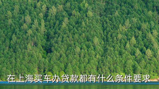 上海車牌貸款怎樣申請(上海車牌貸款申請了能取消嗎)? (http://m.tony-an.com/) 知識問答 第3張