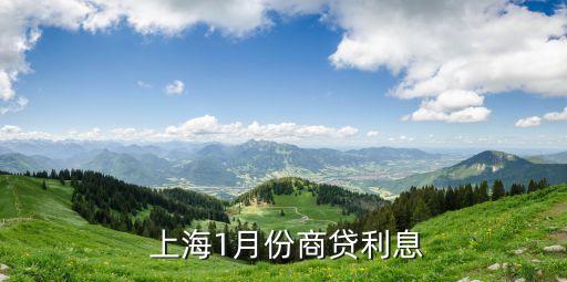 上海車貸利率是多少(上海車子貸款)? (http://m.tony-an.com/) 知識問答 第2張