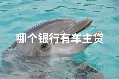 用車貸款哪個平臺靠譜(用車貸款的平臺)? (http://m.tony-an.com/) 知識問答 第1張