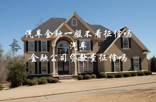 不看征信有車就能貸款(征信能查出車貸嗎)? (http://m.tony-an.com/) 知識問答 第1張