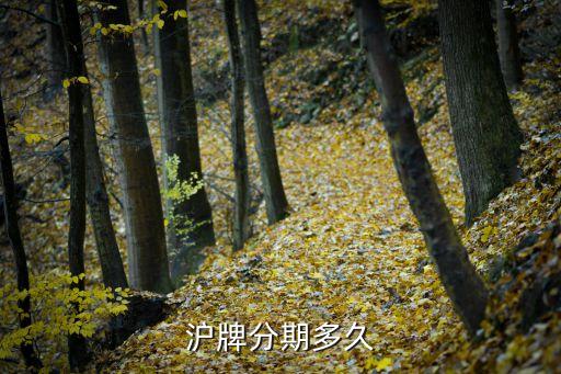 滬牌貸款(滬牌貸款合算嗎)? (http://m.tony-an.com/) 知識問答 第2張
