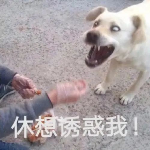 第三方車輛抵押貸款靠譜嗎%3F(三方抵押車可以買嗎)? (http://m.tony-an.com/) 知識問答 第2張