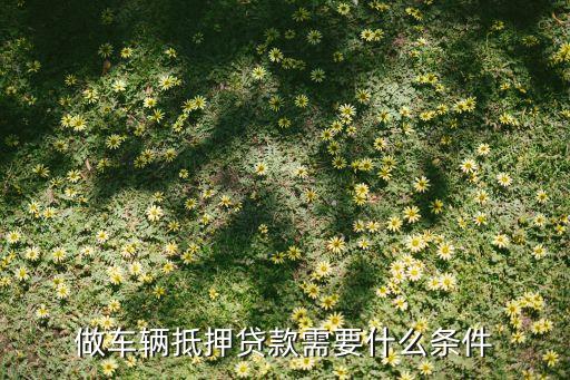 公司車抵押(抵押車公司戶好還是個人戶好)? (http://m.tony-an.com/) 知識問答 第1張