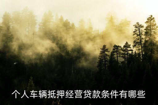 公司車抵押(抵押車公司戶好還是個人戶好)? (http://m.tony-an.com/) 知識問答 第2張