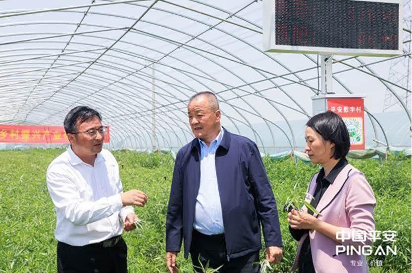 平安普惠(普惠平安保險)? (http://m.tony-an.com/) 知識問答 第22張