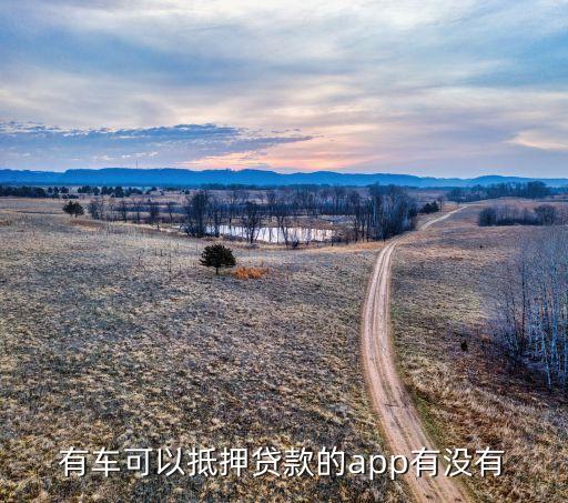 什么軟件可以代還車貸(貸代車軟件可以注銷嗎)? (http://m.tony-an.com/) 知識問答 第1張