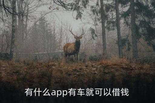 什么軟件可以代還車貸(貸代車軟件可以注銷嗎)? (http://m.tony-an.com/) 知識問答 第2張