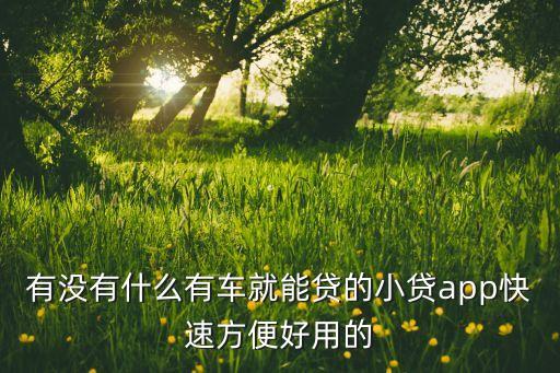 什么軟件可以代還車貸(貸代車軟件可以注銷嗎)? (http://m.tony-an.com/) 知識問答 第3張
