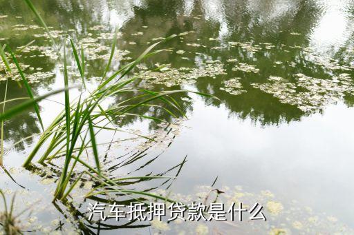 營運車輛可以抵押貸款嗎(抵押營運貸款車輛可以過戶嗎)? (http://m.tony-an.com/) 知識問答 第2張